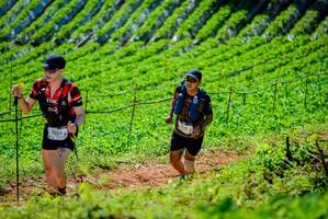 BIB: 2014
                            <button type="button" onclick="openModal(19163249)" class="btn btn-primary btn-sm float-right btn-popup" data-toggle="modal" data-target=".modal-high-quality">
                        <i class="fas fa-shopping-cart"></i> Add to Cart
                    </button>
                                            <button type="button" onclick="isThisMe(19163249, true)" class="btn btn-success btn-sm float-right btn-popup btn-isme hidden" data-toggle="tooltip" data-placement="bottom" title="นี่คือรูปของคุณใช่ไหม คลิกที่นี่เพื่อเอาเข้าอัลบั้ม">
                        <i class="fas fa-plus"></i> Add to album
                    </button>
                    <button type="button" onclick="isThisMe(19163249, false)" class="btn btn-warning btn-sm float-right btn-popup btn-isnotme hidden">
                        <i class="fas fa-ban"></i> Remove from album
                    </button>